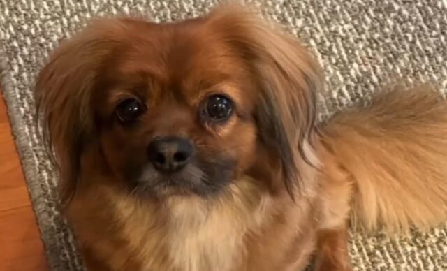 動物に対する深い愛情と豊富な知識＜K.A様＞